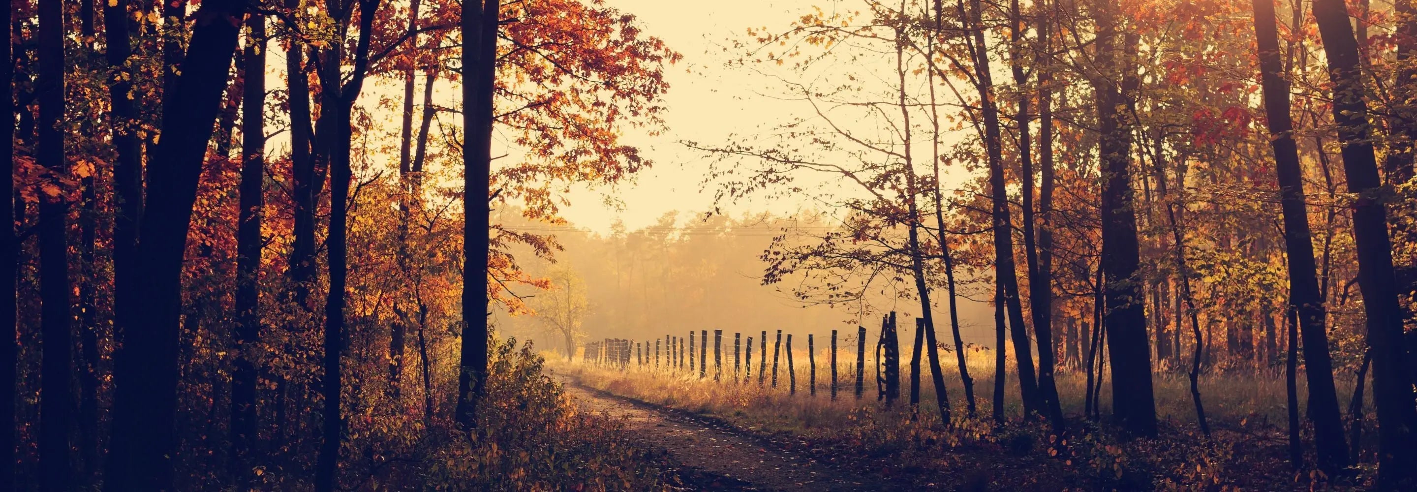 Equinox Celebrations Around the World | Conquest Maps, image size:2880x1000