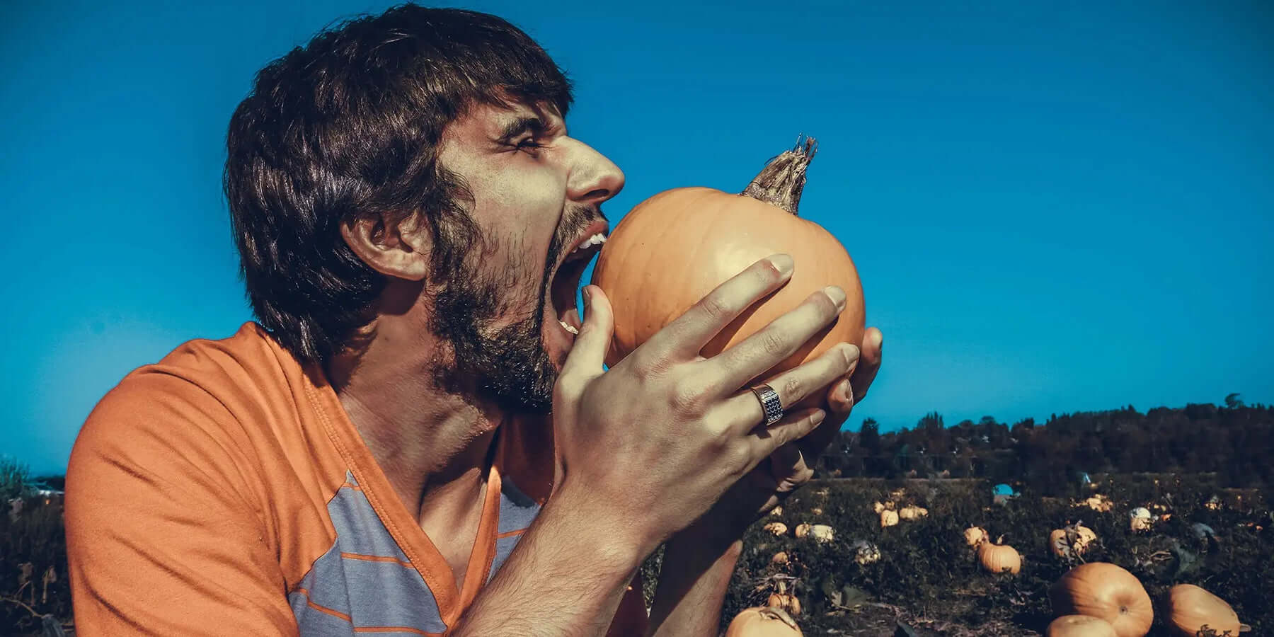 The Strangest Cuisine in the United States