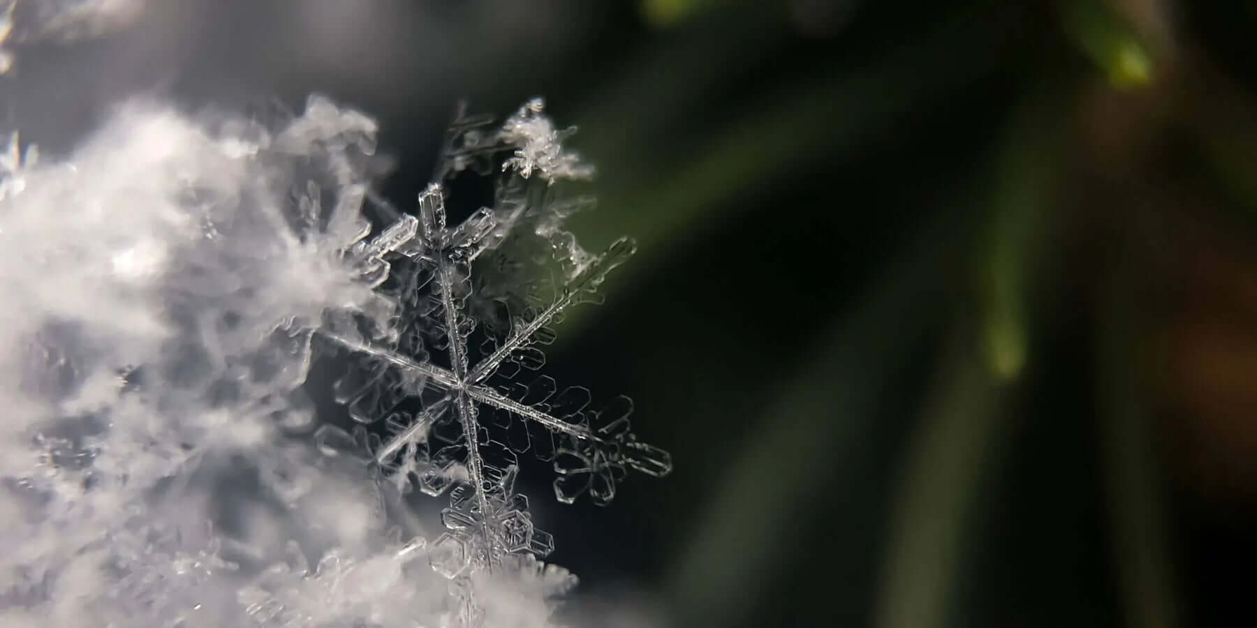 9 Game-changing Tips to Save Big on Holiday Travel