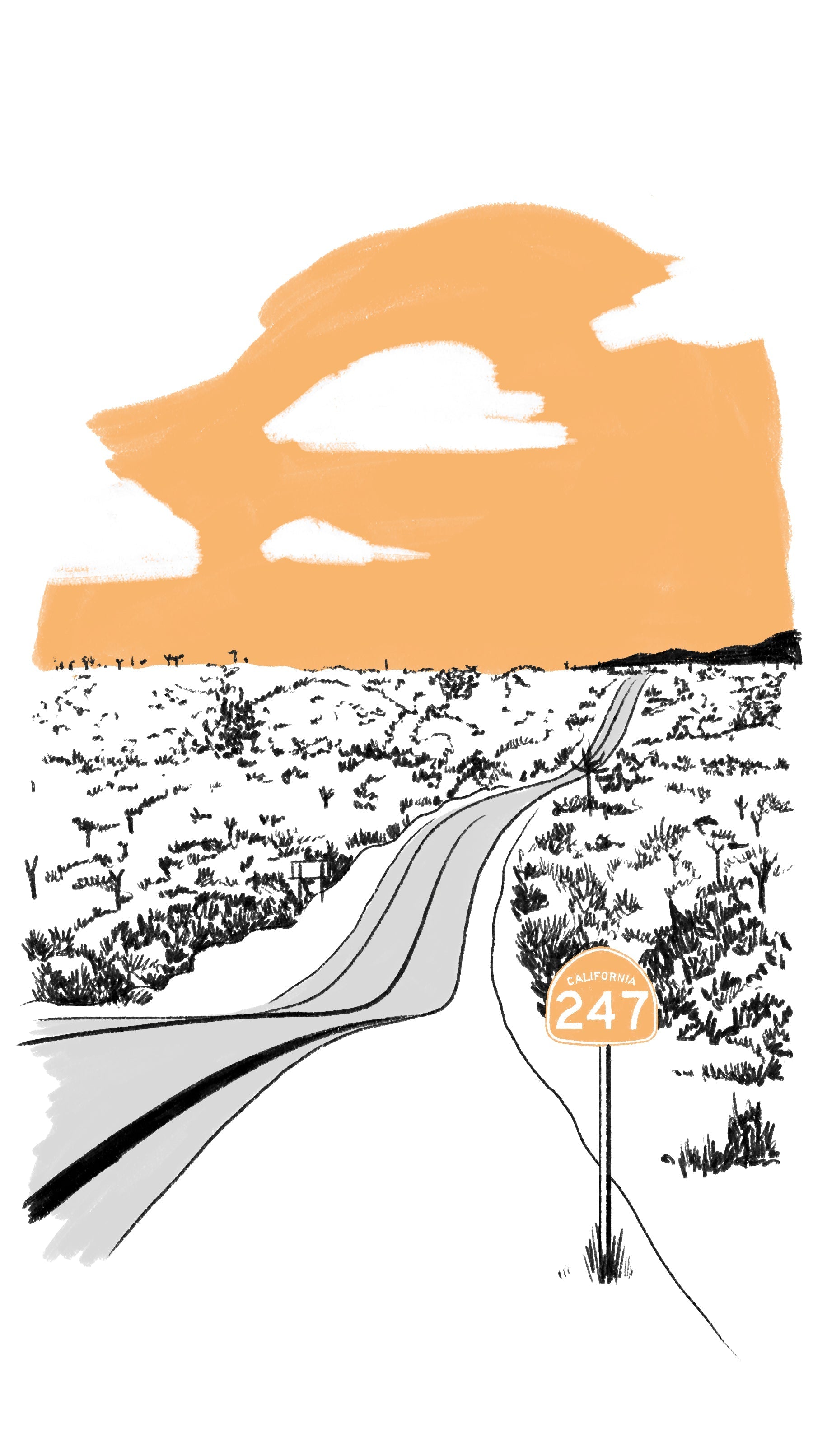 JOSHUA TREE NATIONAL PARK Wildsam