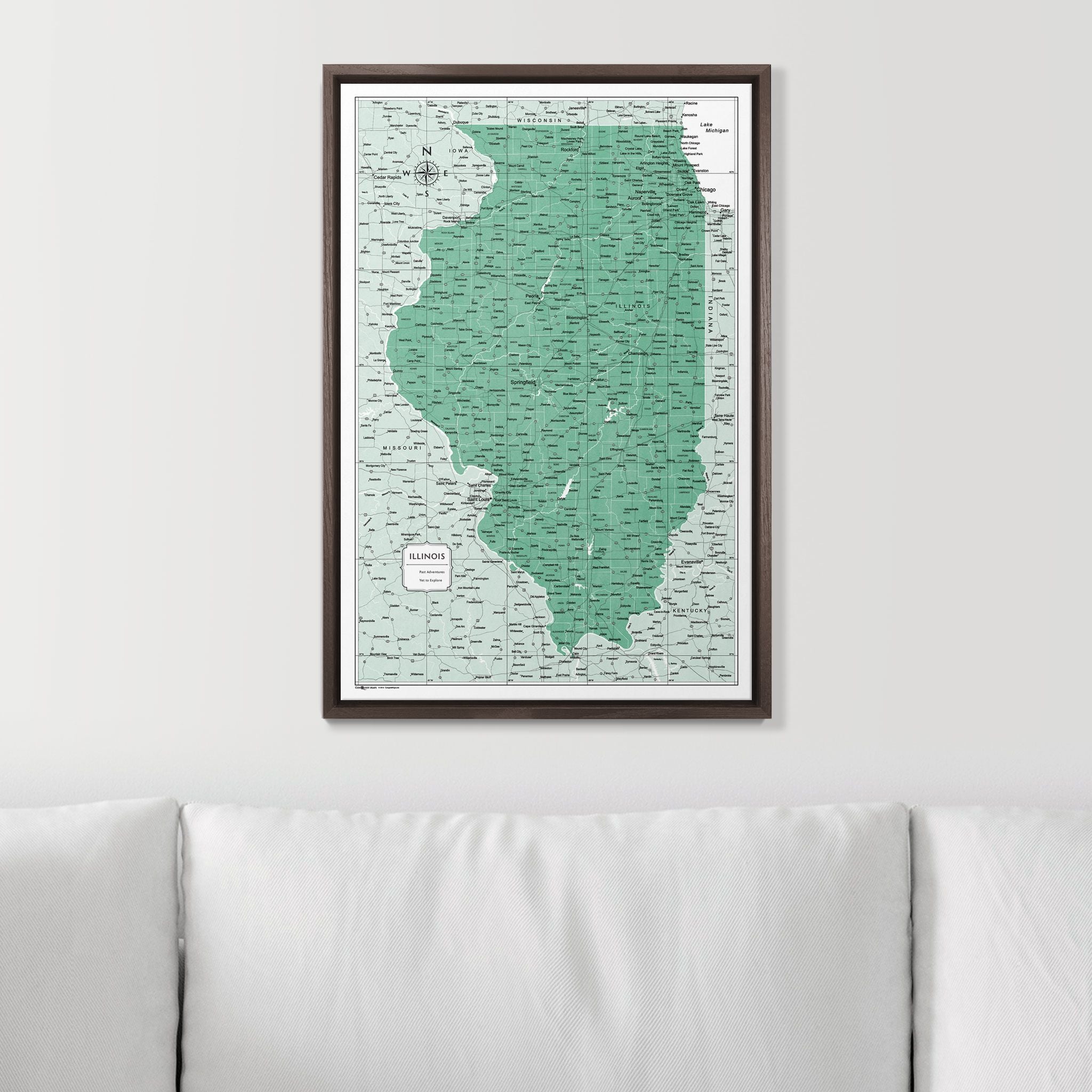 Push Pin Illinois Map (Pin Board) - Green Color Splash CM Pin Board
