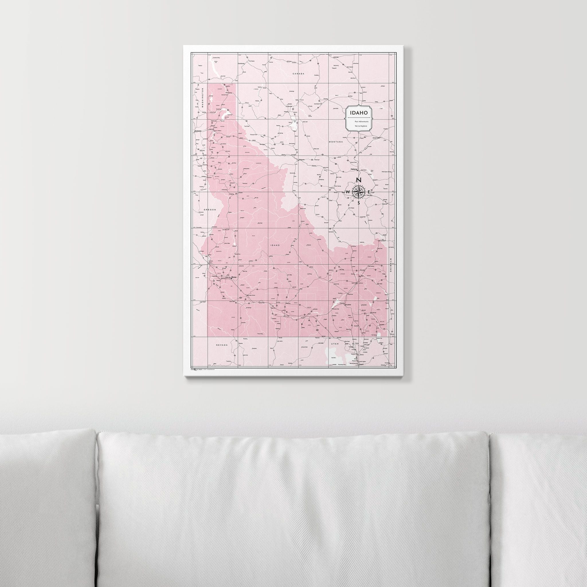 Push Pin Idaho Map (Pin Board) - Pink Color Splash CM Pin Board