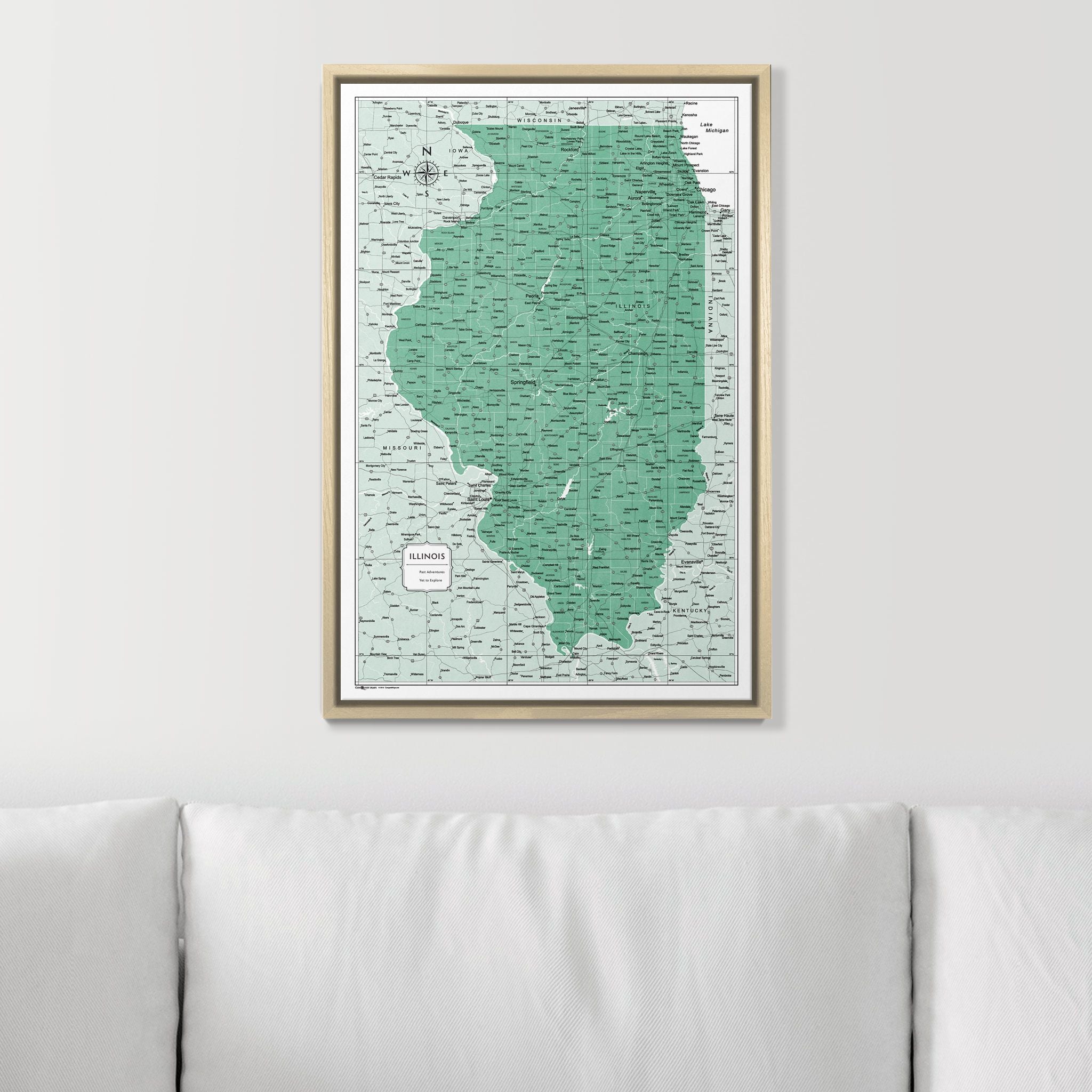 Push Pin Illinois Map (Pin Board) - Green Color Splash CM Pin Board