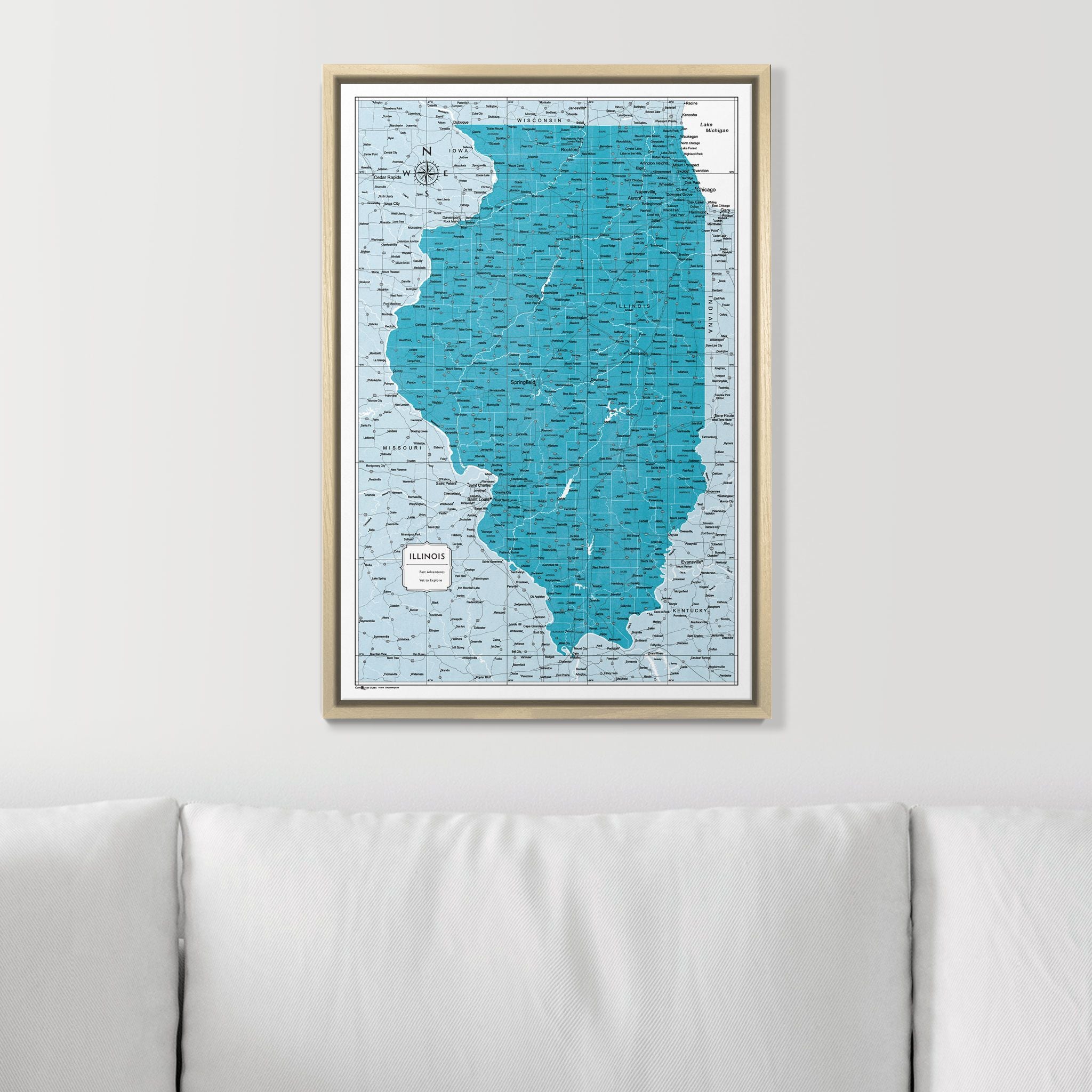 Push Pin Illinois Map (Pin Board) - Teal Color Splash CM Pin Board