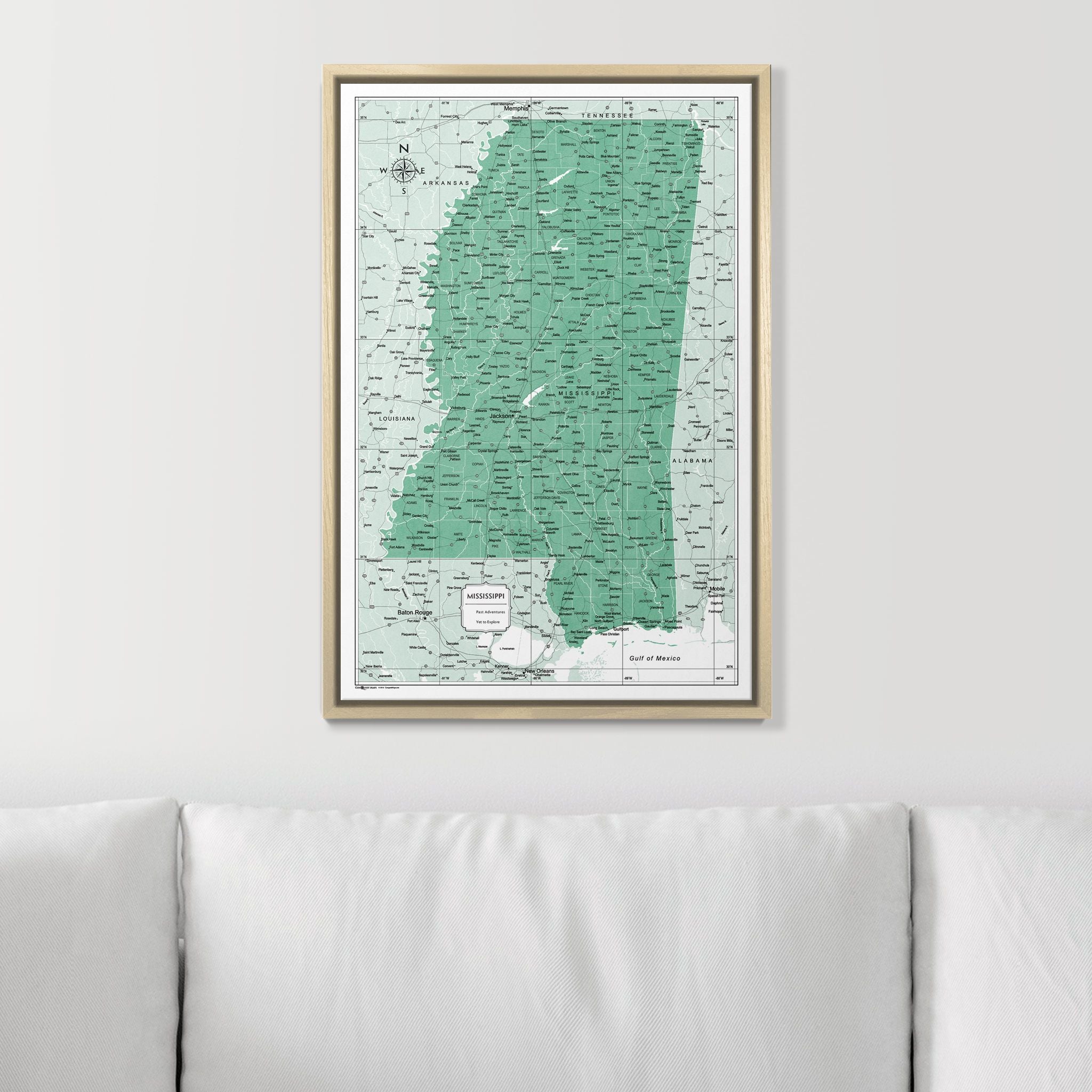 Push Pin Mississippi Map (Pin Board) - Green Color Splash CM Pin Board