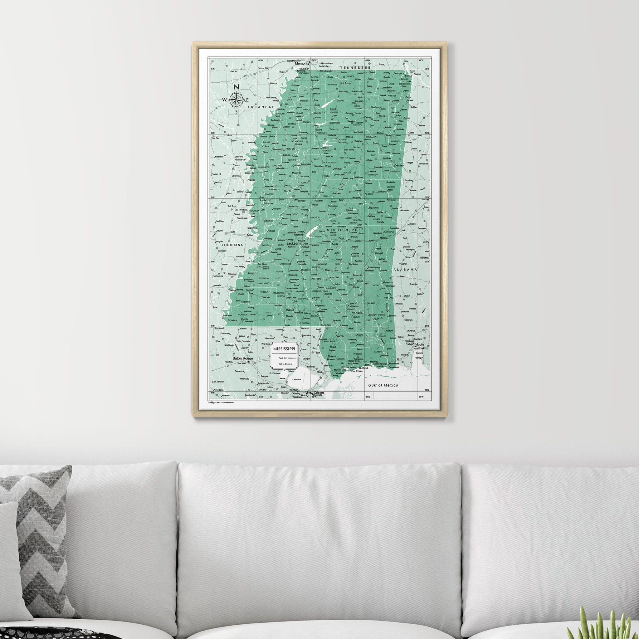 Push Pin Mississippi Map (Pin Board) - Green Color Splash CM Pin Board