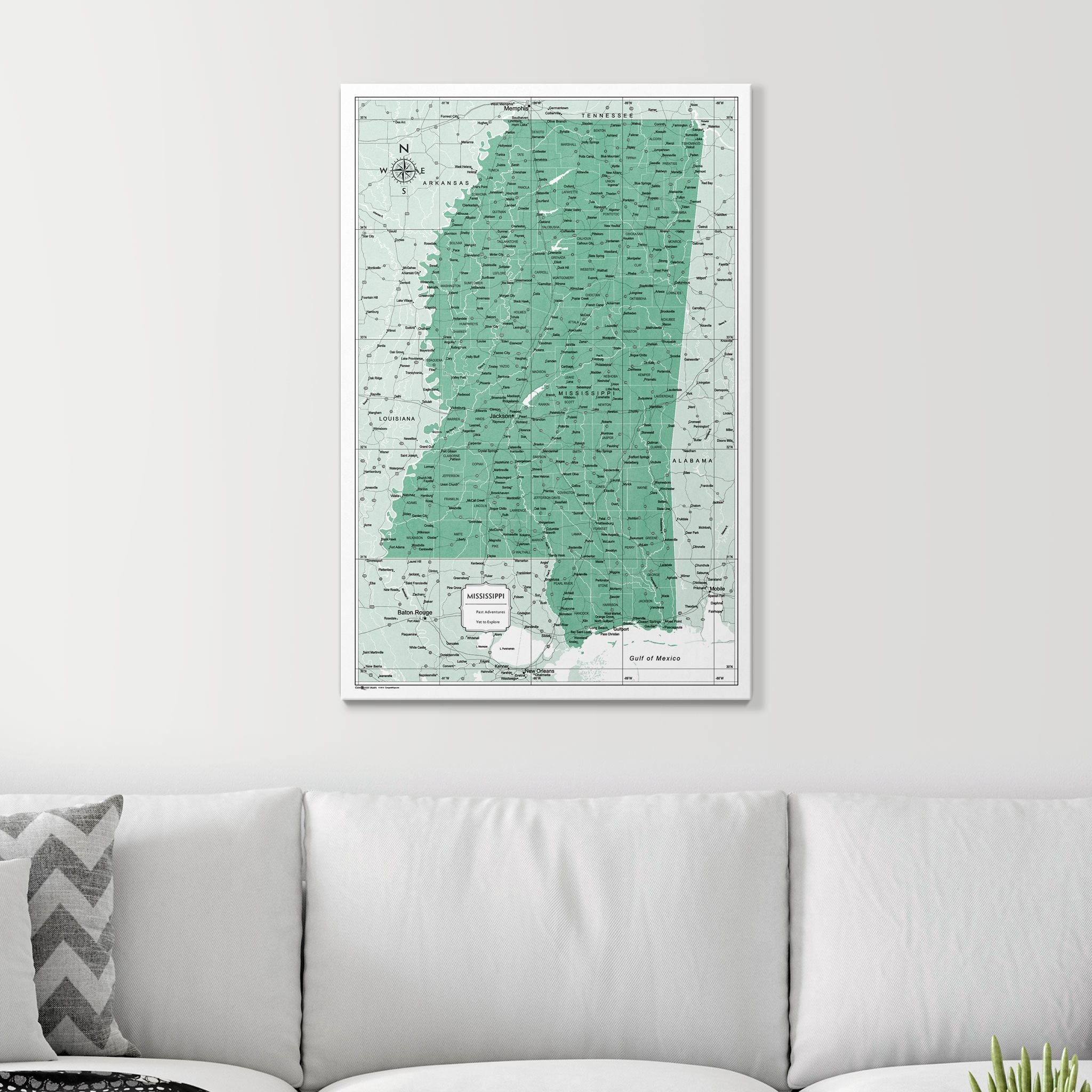 Push Pin Mississippi Map (Pin Board) - Green Color Splash CM Pin Board