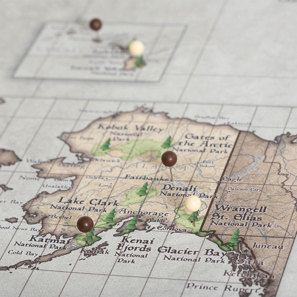 Push Pin National Parks Map - Rustic Vintage - Pins Included! CM Pin Board