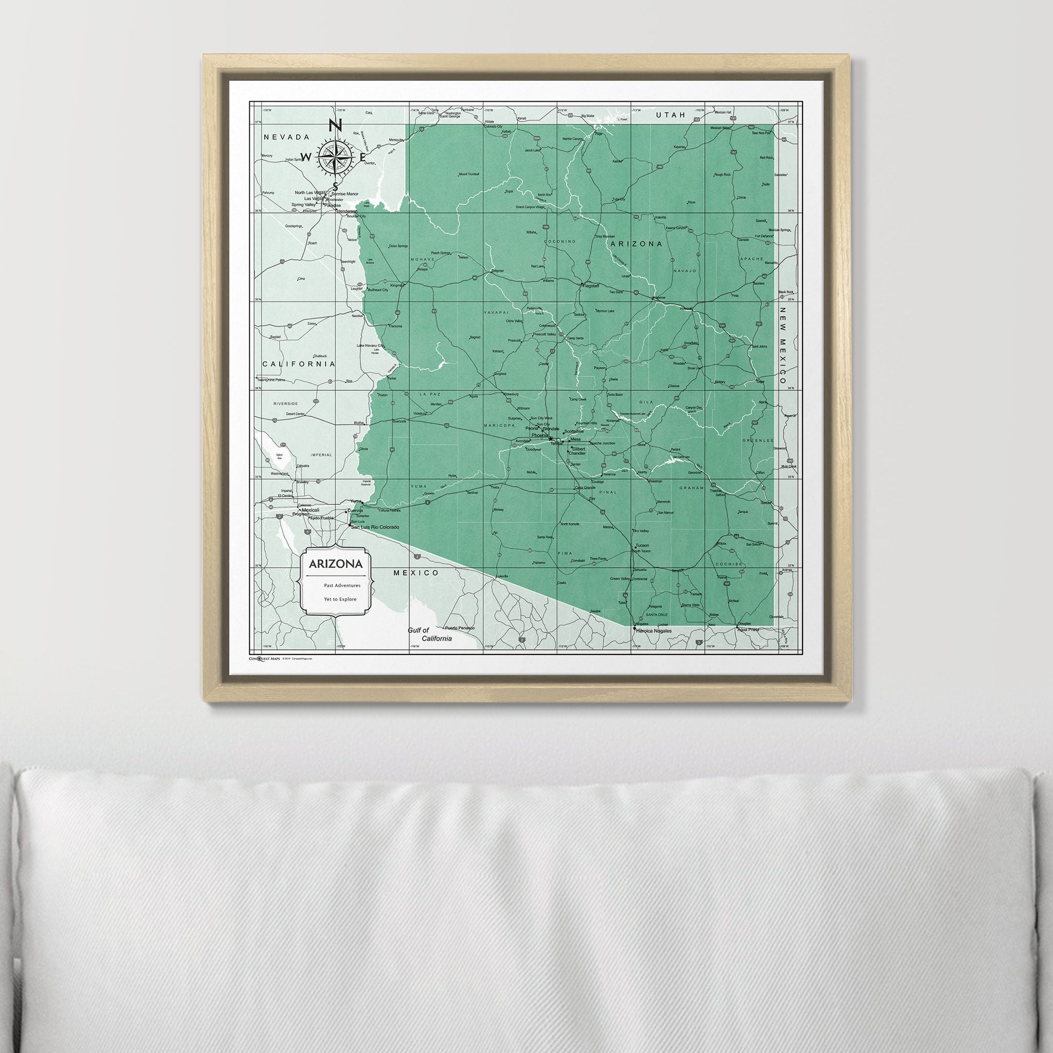 Push Pin Arizona Map (Pin Board) - Green Color Splash CM Pin Board