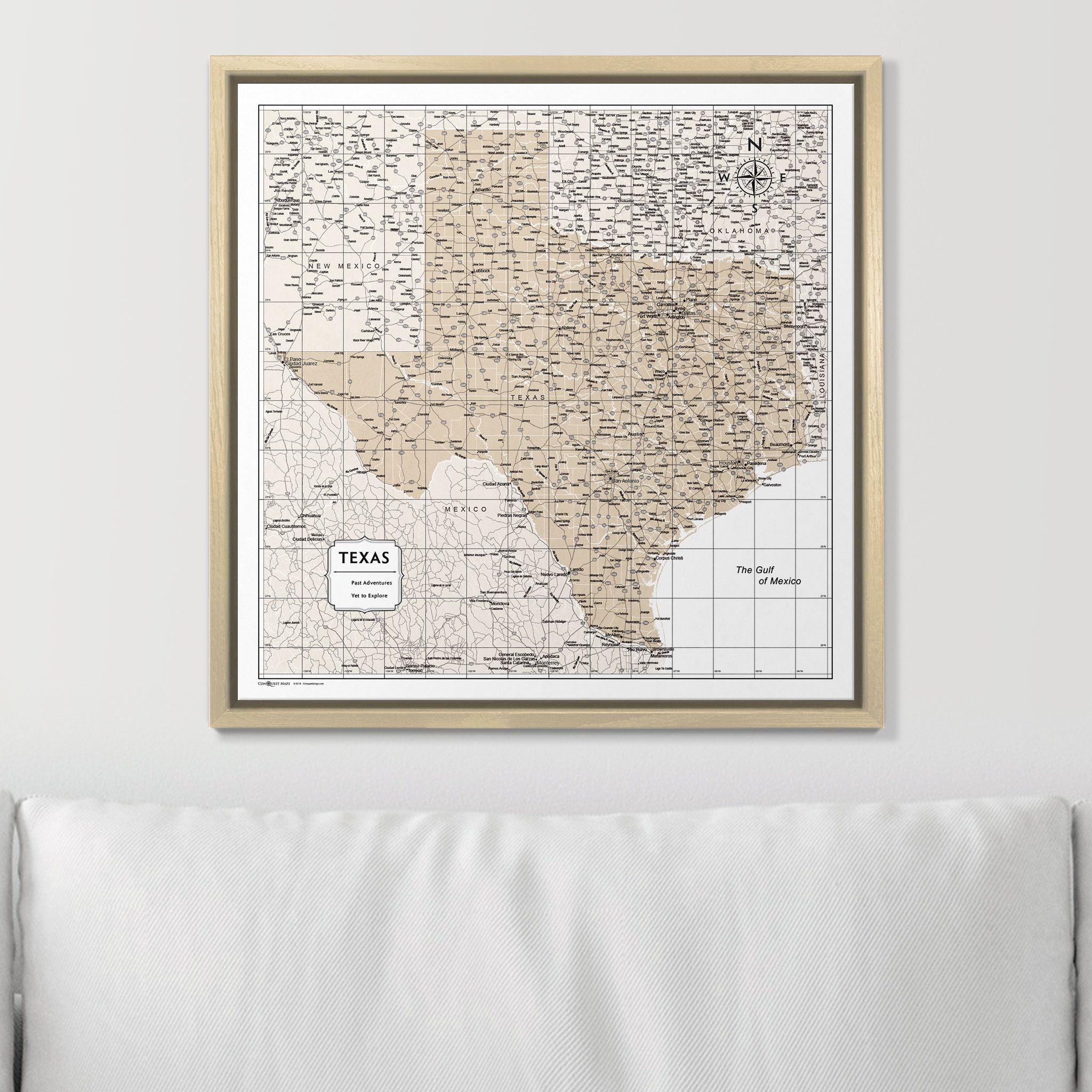 Push Pin Texas Map (Pin Board) - Light Brown Color Splash CM Pin Board