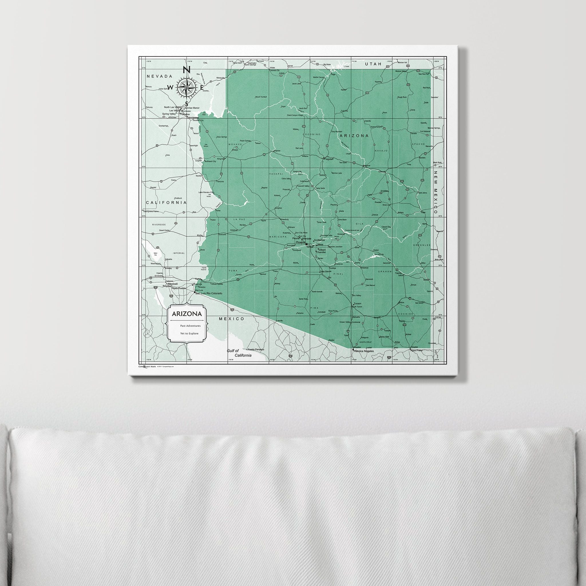 Push Pin Arizona Map (Pin Board) - Green Color Splash CM Pin Board
