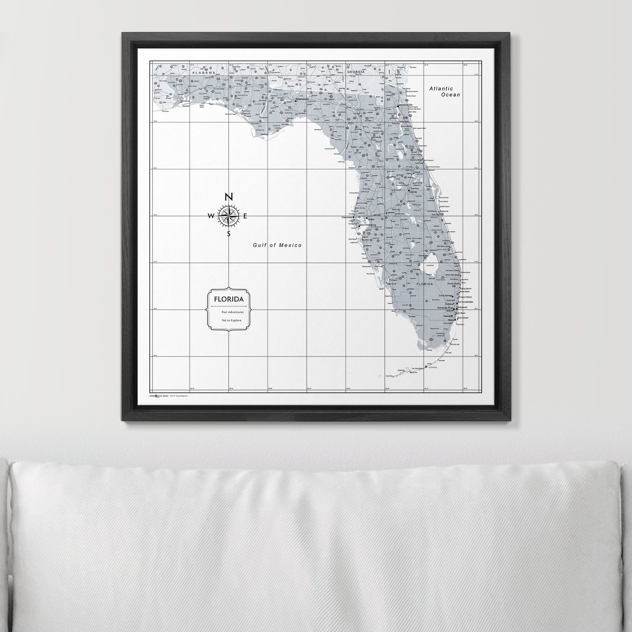 Push Pin Florida Map (Pin Board) - Light Gray Color Splash CM Pin Board
