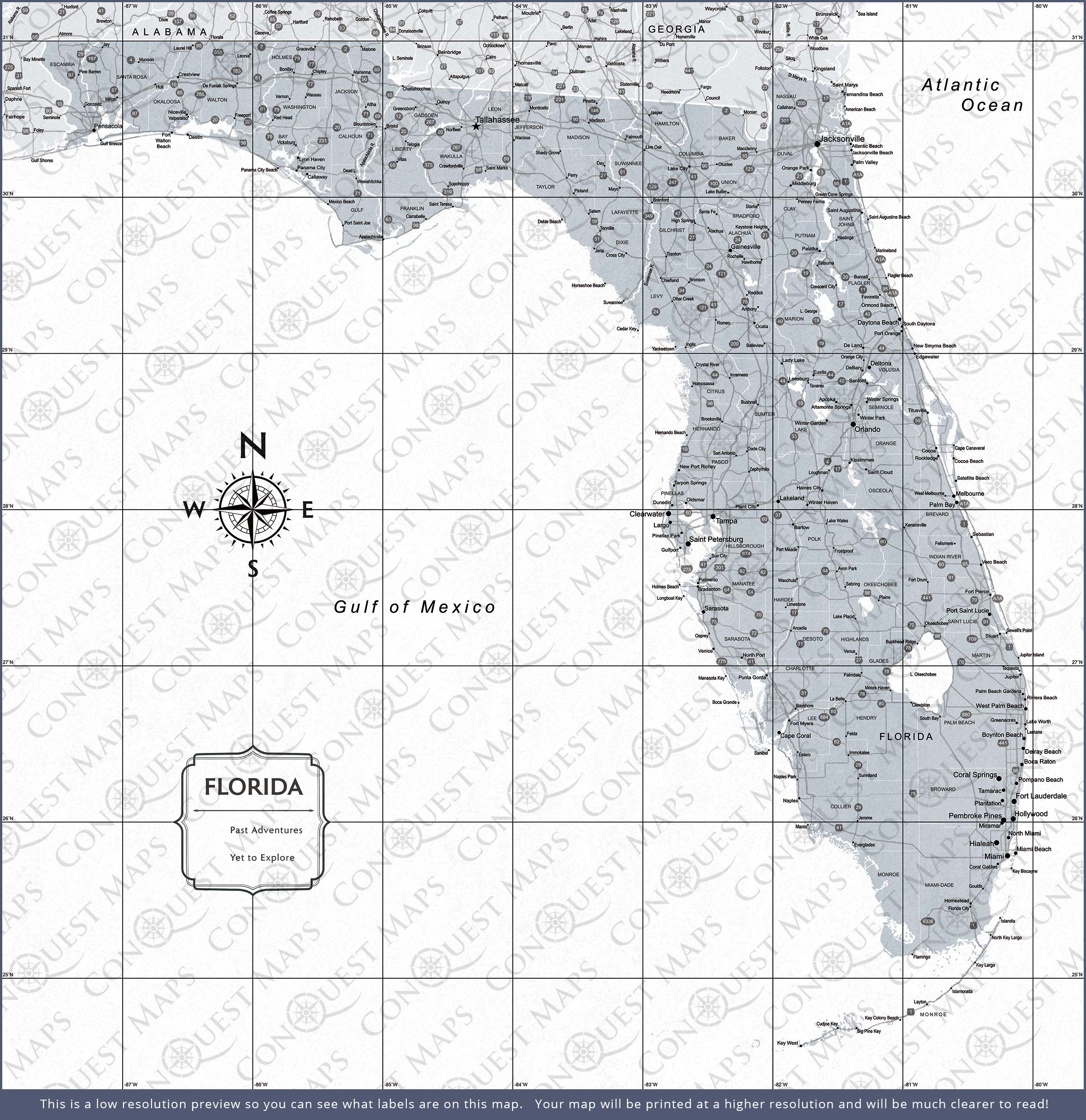 Push Pin Florida Map (Pin Board) - Light Gray Color Splash CM Pin Board