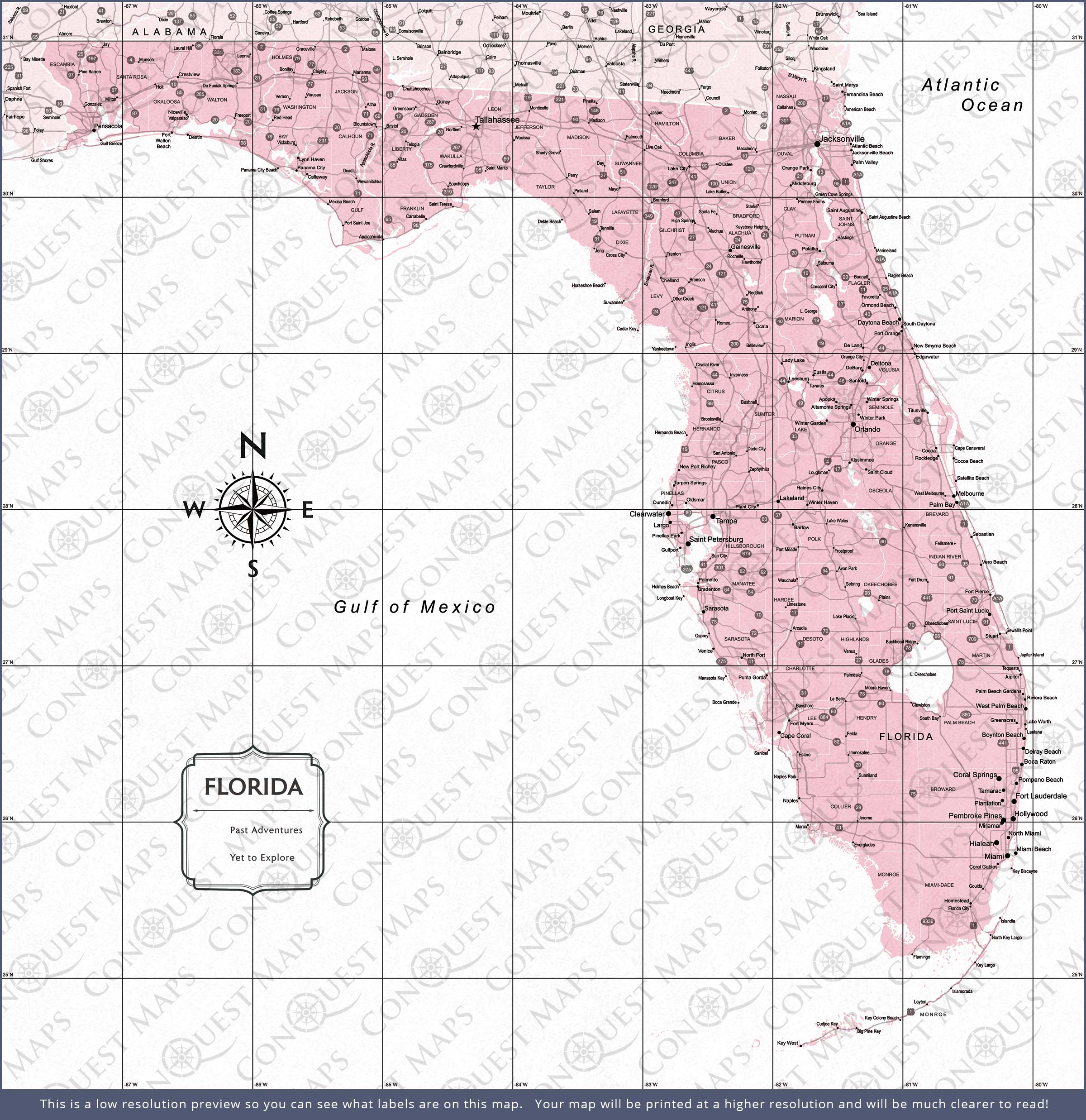 Push Pin Florida Map (Pin Board) - Pink Color Splash CM Pin Board
