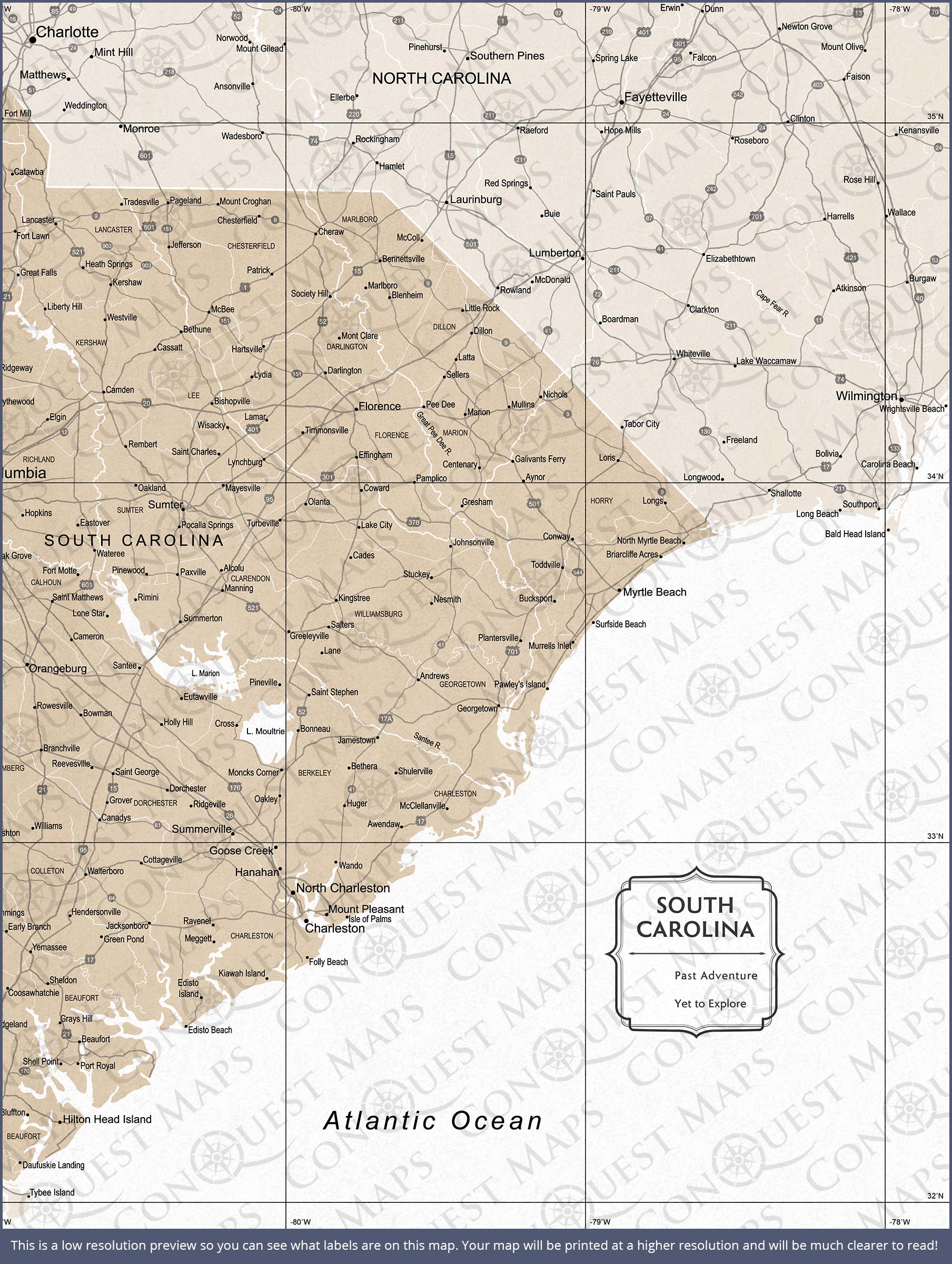 Push Pin South Carolina Map (Pin Board) - Light Brown Color Splash CM Pin Board
