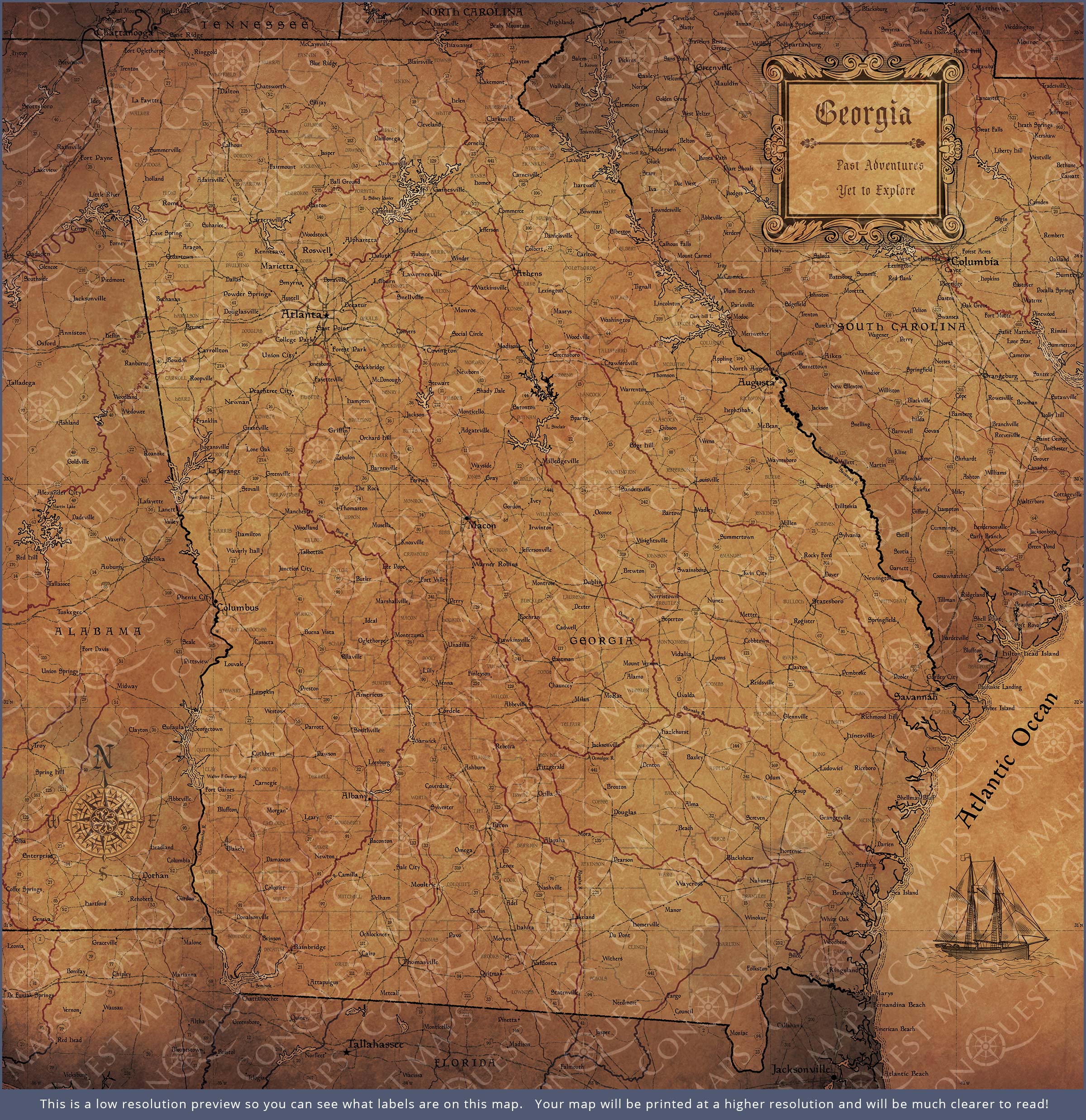 Push Pin Georgia Map (Pin Board) - Golden Aged CM Pin Board