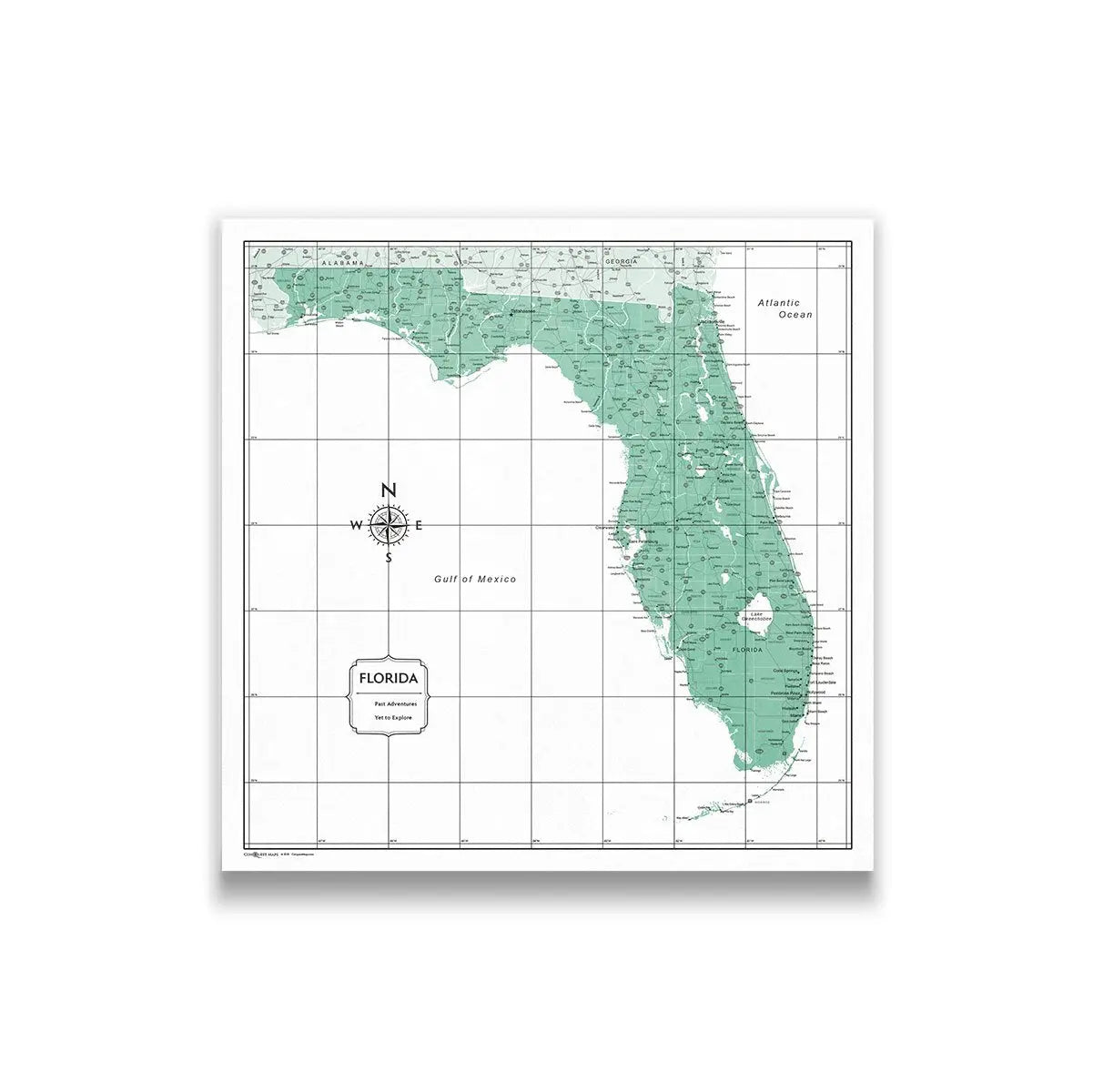 Push Pin Florida Map (Pin Board) - Green Color Splash CM Pin Board