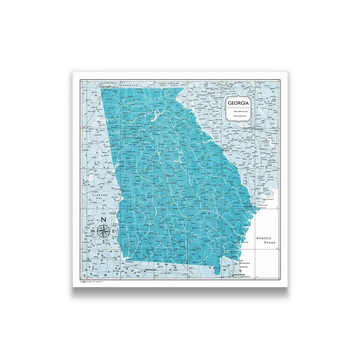 Push Pin Georgia Map (Pin Board) - Teal Color Splash CM Pin Board