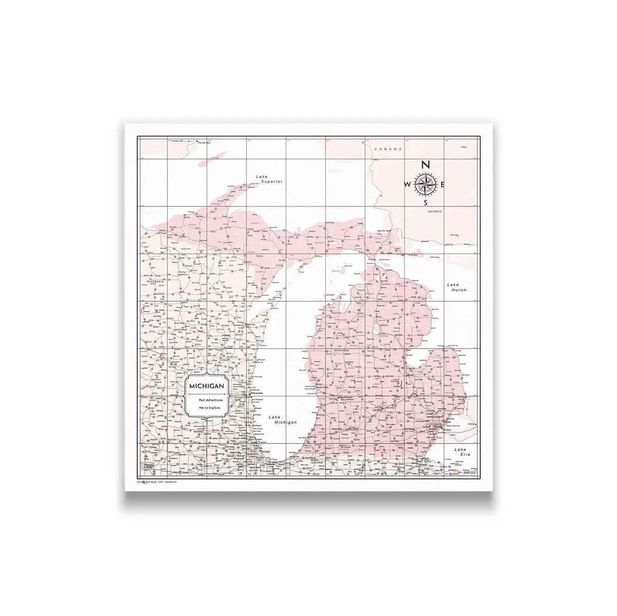 Push Pin Michigan Map (Pin Board) - Pink Color Splash CM Pin Board