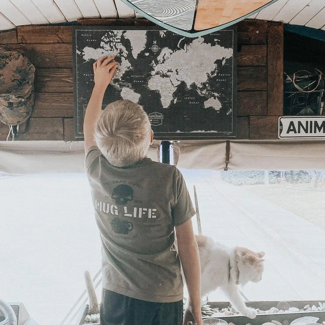 Push Pin World Map - Modern Slate CM Pin Board