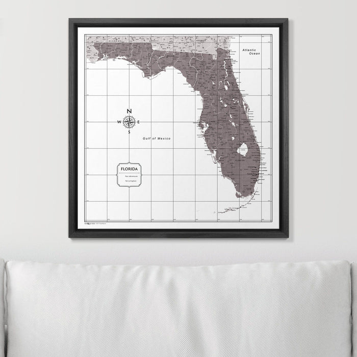 Push Pin Florida Map (Pin Board) - Dark Brown Color Splash