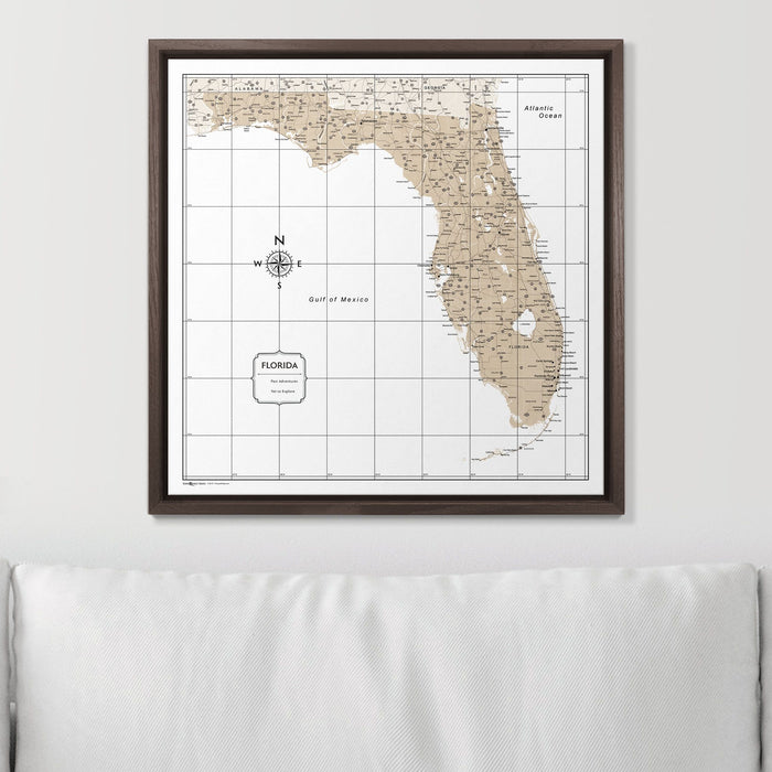 Push Pin Florida Map (Pin Board) - Light Brown Color Splash CM Pin Board