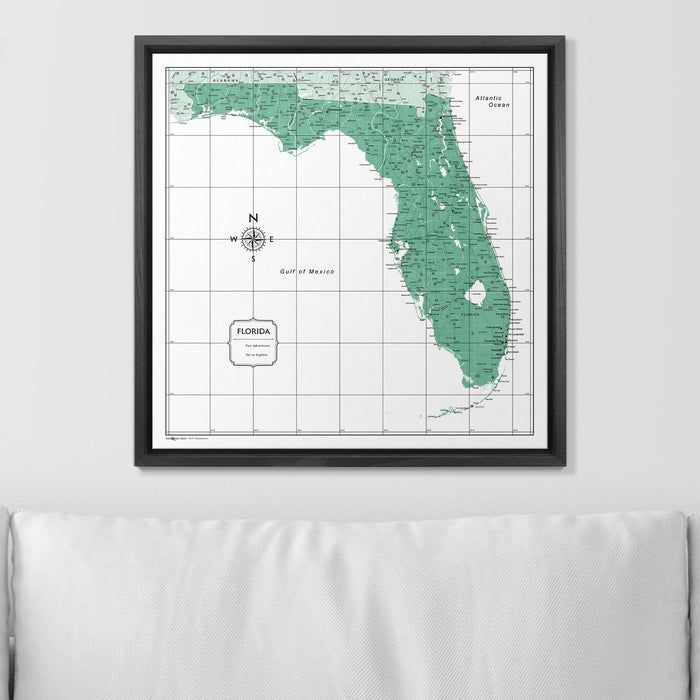 Push Pin Florida Map (Pin Board) - Green Color Splash CM Pin Board
