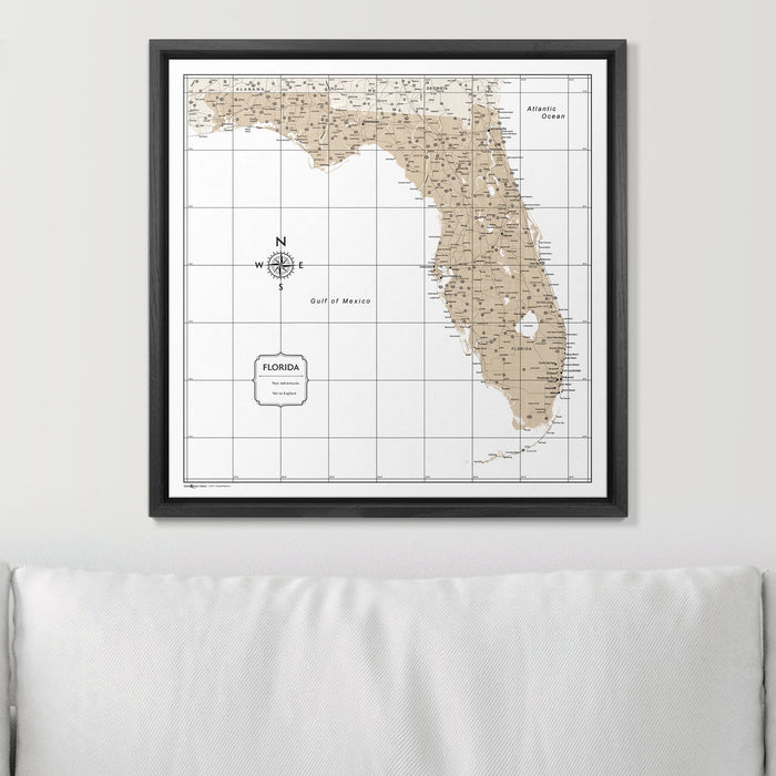 Push Pin Florida Map (Pin Board) - Light Brown Color Splash