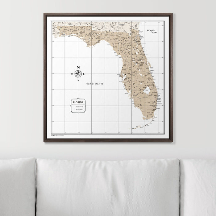Push Pin Florida Map (Pin Board) - Light Brown Color Splash