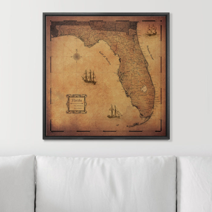 Push Pin Florida Map (Pin Board) - Golden Aged