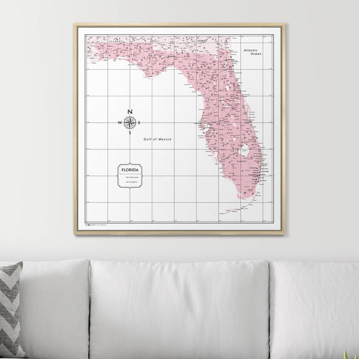Push Pin Florida Map (Pin Board) - Pink Color Splash CM Pin Board