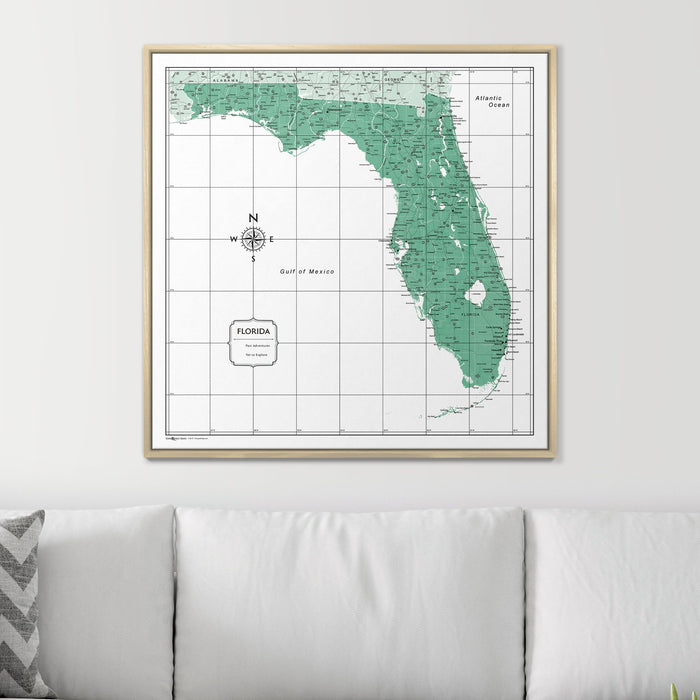 Push Pin Florida Map (Pin Board) - Green Color Splash CM Pin Board