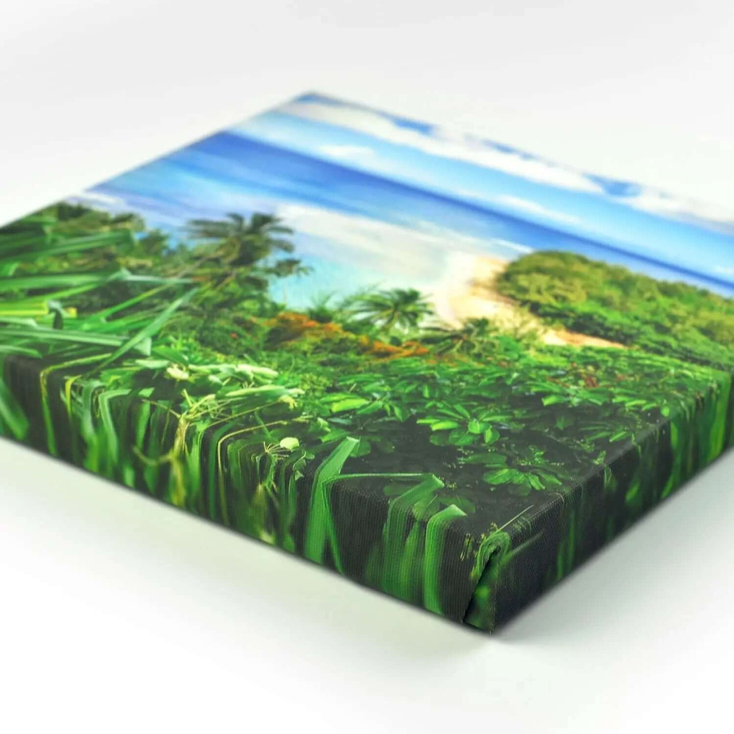 Custom Print Canvas HighQuality Photos Conquest Maps