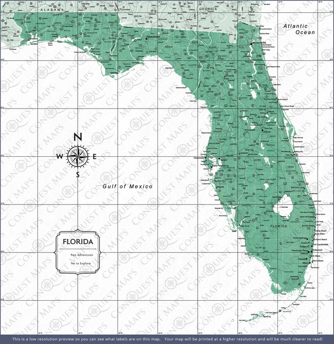Florida Map Poster - Green Color Splash CM Poster