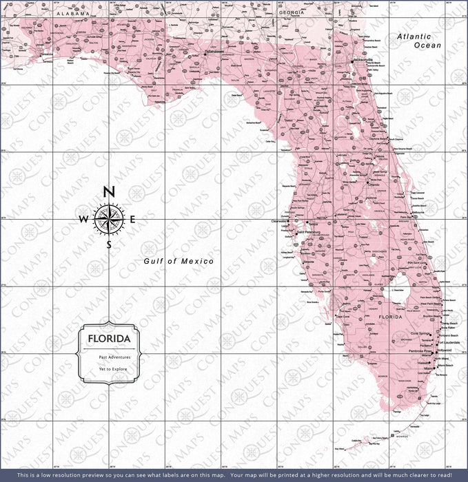Florida Map Poster - Pink Color Splash CM Poster