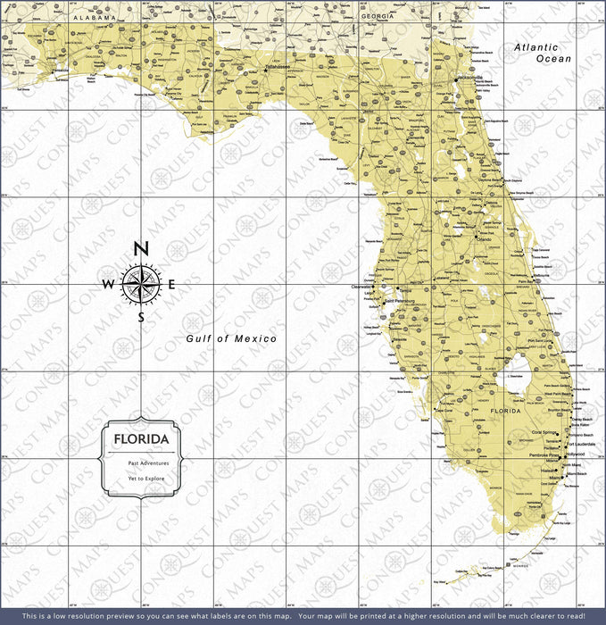 Push Pin Florida Map (Pin Board) - Yellow Color Splash CM Pin Board