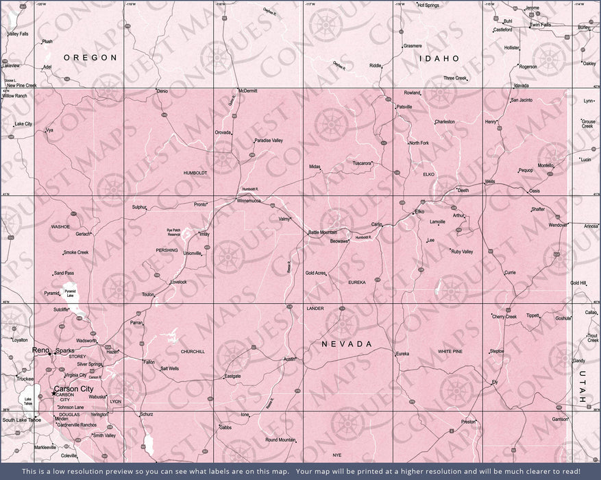 Push Pin Nevada Map (Pin Board) - Pink Color Splash