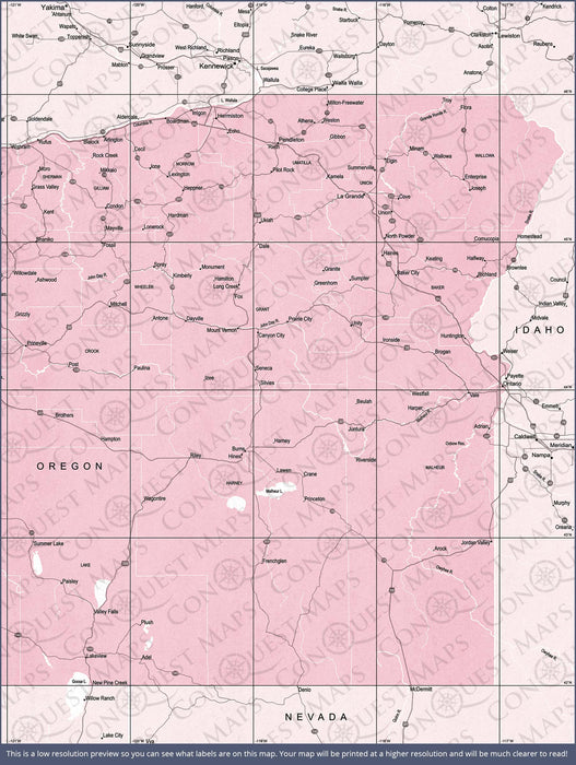 Push Pin Oregon Map (Pin Board) - Pink Color Splash CM Pin Board