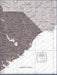 Push Pin South Carolina Map (Pin Board) - Dark Brown Color Splash CM Pin Board