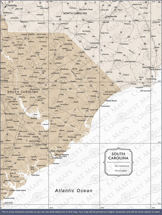 Push Pin South Carolina Map (Pin Board) - Light Brown Color Splash