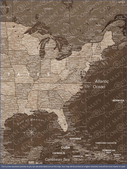 Push Pin USA Map (Pin Board) - Deep Espresso CM Pin Board