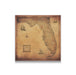 Push Pin Florida Map (Pin Board) - Golden Aged CM Pin Board