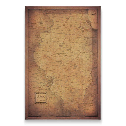 Push Pin Illinois Map (Pin Board) - Golden Aged CM Pin Board