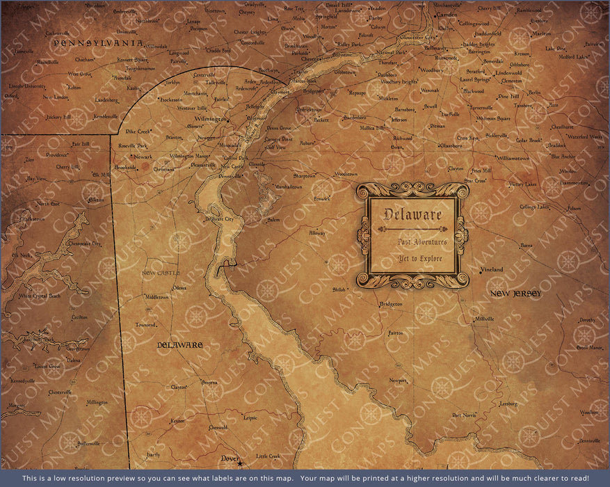 Push Pin Delaware Map (Pin Board) - Golden Aged