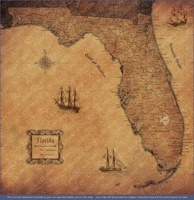 Florida Map Poster - Golden Aged CM Poster