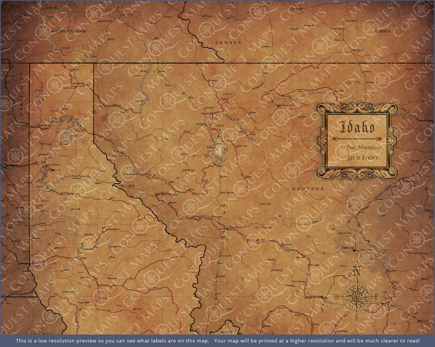 Push Pin Idaho Map (Pin Board) - Golden Aged CM Pin Board