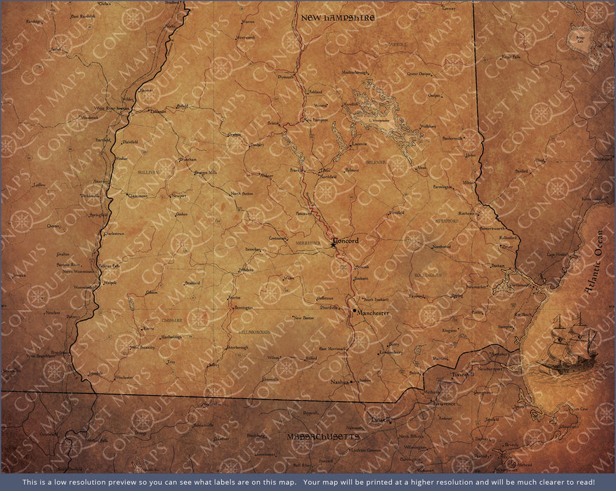 Push Pin New Hampshire Map (Pin Board) - Golden Aged