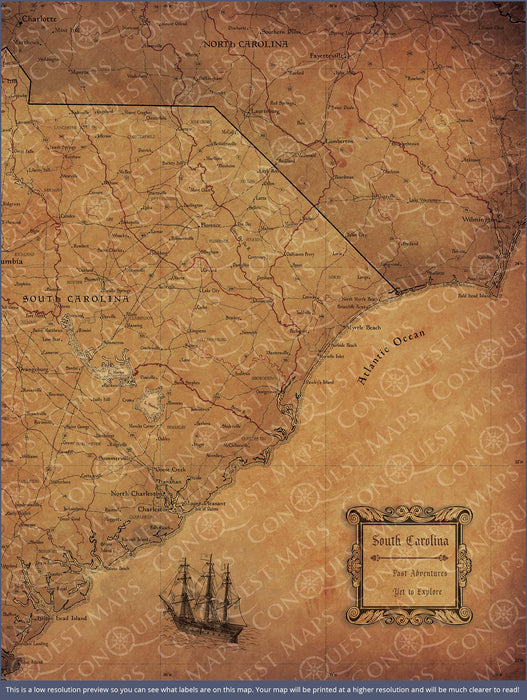 Push Pin South Carolina Map (Pin Board) - Golden Aged CM Pin Board