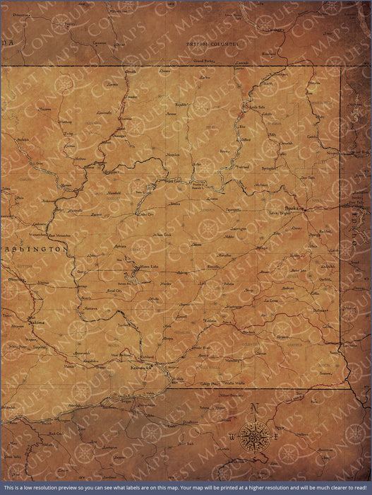 Push Pin Washington Map (Pin Board) - Golden Aged CM Pin Board