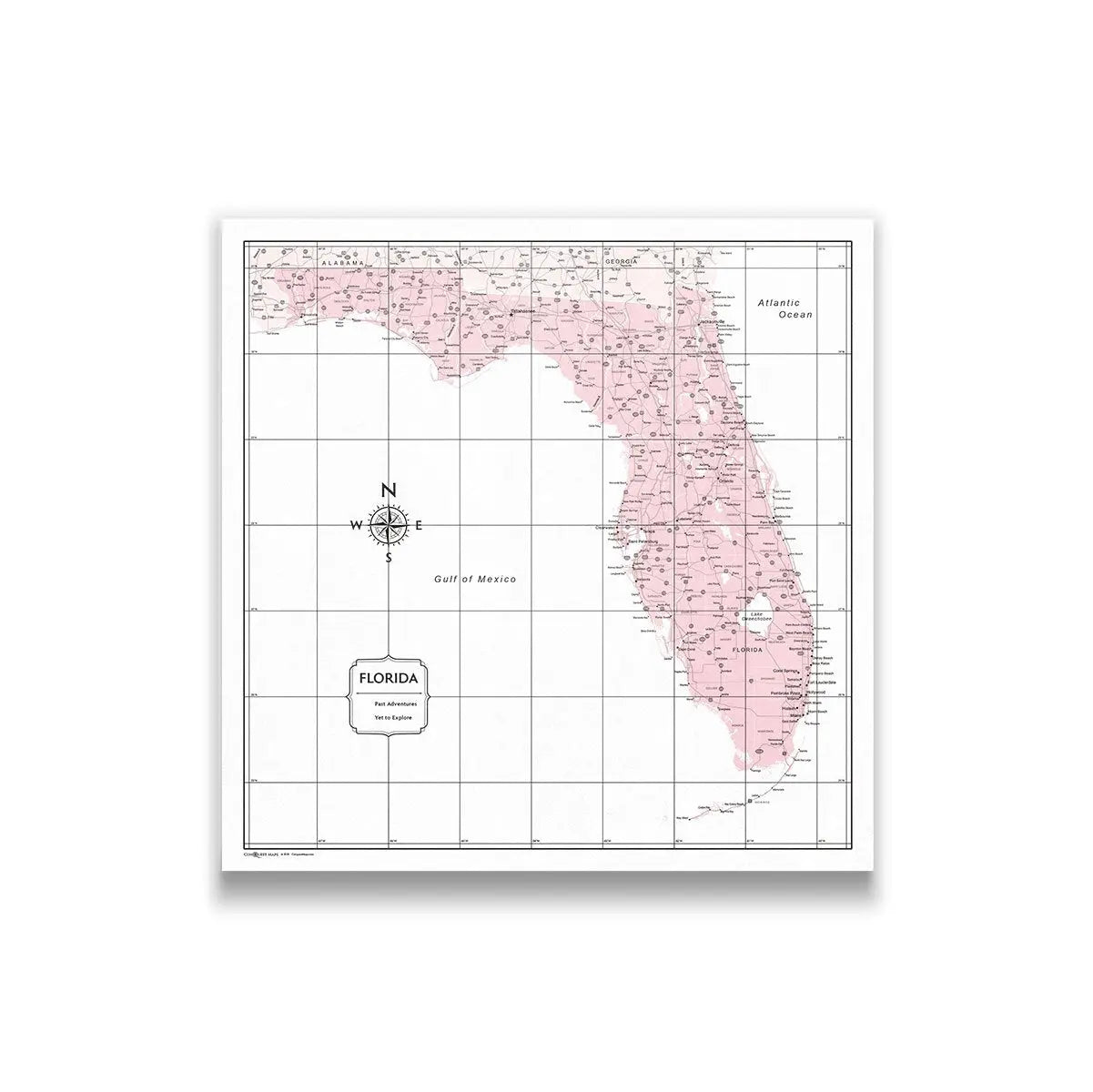 Florida Map Chip Push Pin Florida Map (Pin Board) - Pink Color Splash - Conquest Maps LLC